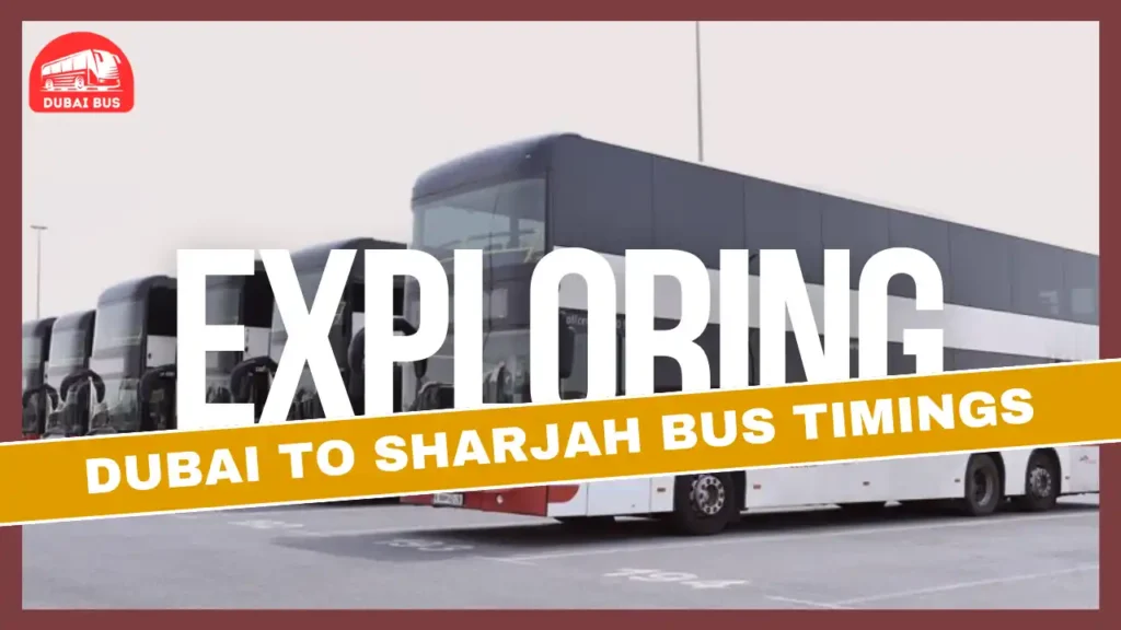 Dubai To Sharjah Bus Timings, Routes, Distance, Fare