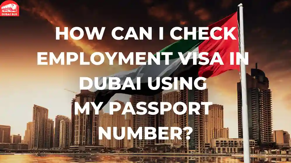 How Can I Check My Employment Visa in Dubai Using My Passport Number?​