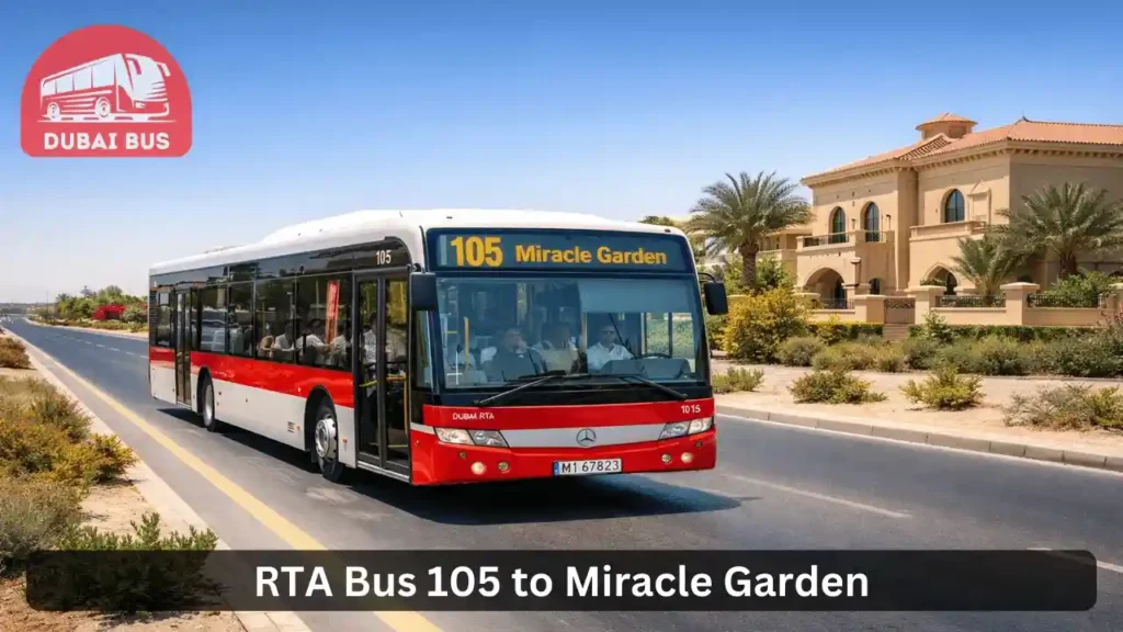 105 bus route how to go miracle garden by bus
