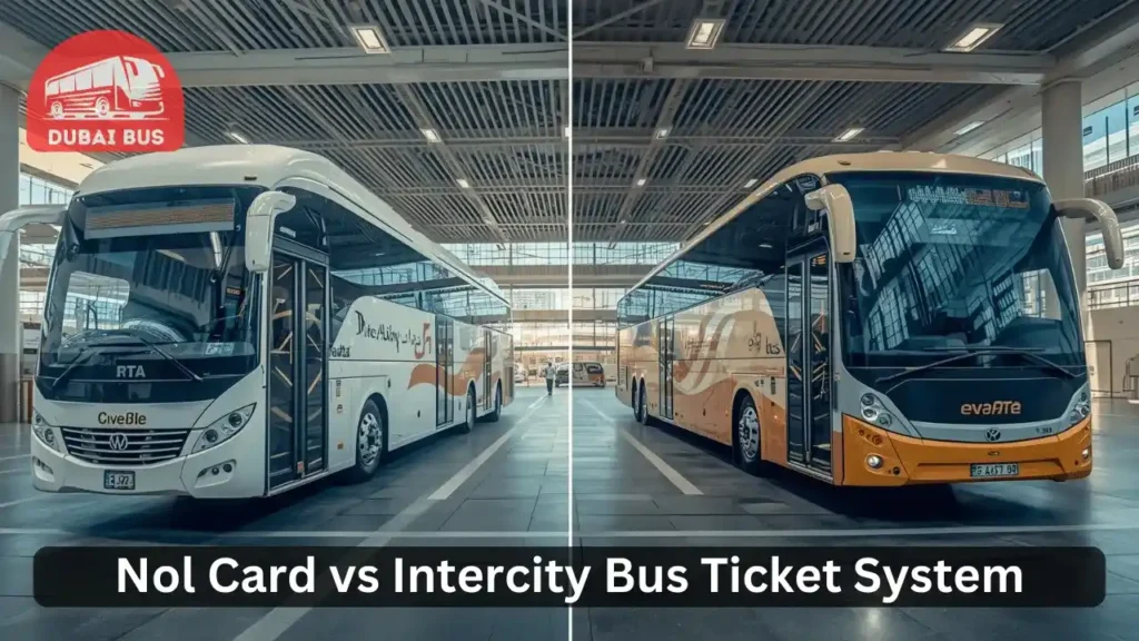 Dubai city bus and intercity bus shown side by side