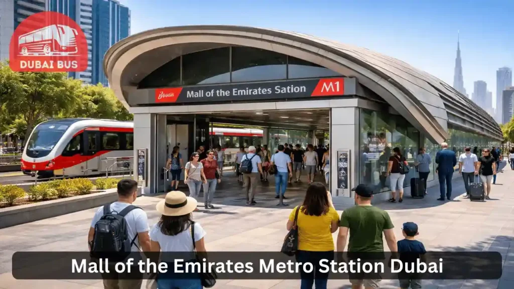 mall of emirates to miracle garden how to go miracle garden by metro